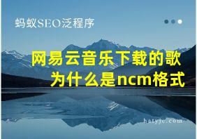 网易云音乐下载的歌为什么是ncm格式