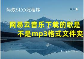 网易云音乐下载的歌是不是mp3格式文件夹