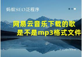 网易云音乐下载的歌是不是mp3格式文件