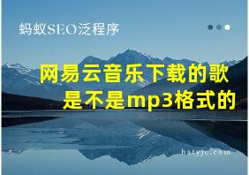 网易云音乐下载的歌是不是mp3格式的