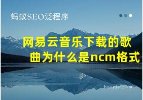 网易云音乐下载的歌曲为什么是ncm格式