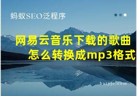 网易云音乐下载的歌曲怎么转换成mp3格式