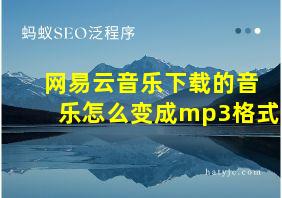 网易云音乐下载的音乐怎么变成mp3格式