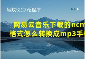 网易云音乐下载的ncm格式怎么转换成mp3手机