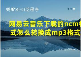 网易云音乐下载的ncm格式怎么转换成mp3格式??