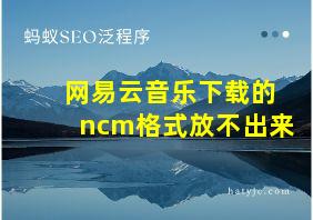 网易云音乐下载的ncm格式放不出来