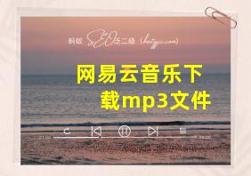 网易云音乐下载mp3文件