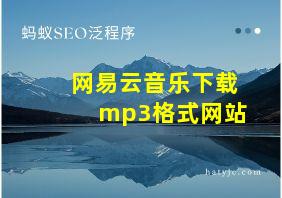 网易云音乐下载mp3格式网站