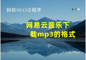 网易云音乐下载mp3的格式