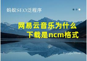 网易云音乐为什么下载是ncm格式