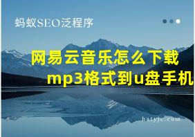 网易云音乐怎么下载mp3格式到u盘手机