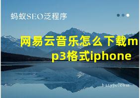 网易云音乐怎么下载mp3格式iphone