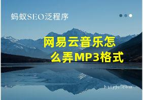 网易云音乐怎么弄MP3格式