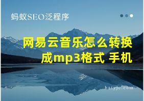 网易云音乐怎么转换成mp3格式 手机