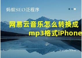 网易云音乐怎么转换成mp3格式iPhone