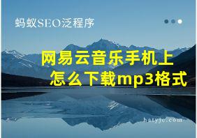 网易云音乐手机上怎么下载mp3格式