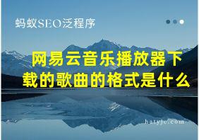 网易云音乐播放器下载的歌曲的格式是什么