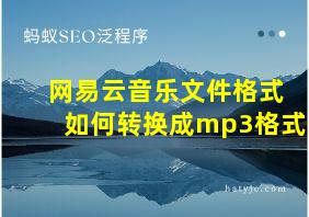 网易云音乐文件格式如何转换成mp3格式