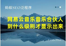 网易云音乐音乐合伙人到什么级别才显示出来