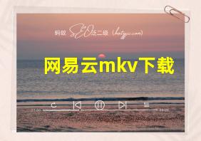 网易云mkv下载