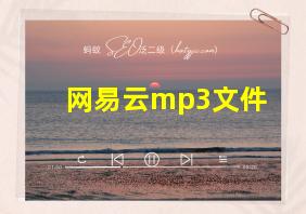 网易云mp3文件