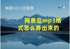 网易云mp3格式怎么弄出来的