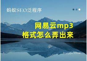 网易云mp3格式怎么弄出来