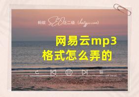 网易云mp3格式怎么弄的