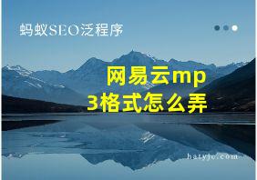 网易云mp3格式怎么弄