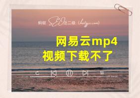 网易云mp4视频下载不了