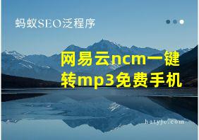 网易云ncm一键转mp3免费手机