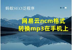 网易云ncm格式转换mp3在手机上