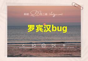 罗宾汉bug