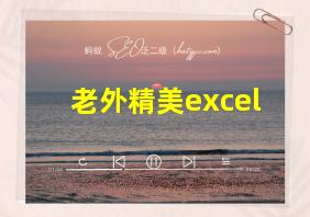 老外精美excel