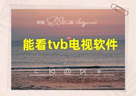 能看tvb电视软件