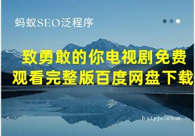 致勇敢的你电视剧免费观看完整版百度网盘下载