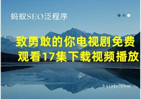 致勇敢的你电视剧免费观看17集下载视频播放