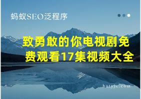 致勇敢的你电视剧免费观看17集视频大全