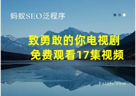 致勇敢的你电视剧免费观看17集视频