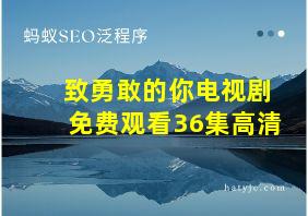 致勇敢的你电视剧免费观看36集高清