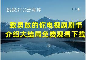 致勇敢的你电视剧剧情介绍大结局免费观看下载