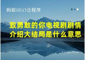 致勇敢的你电视剧剧情介绍大结局是什么意思