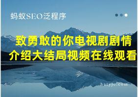 致勇敢的你电视剧剧情介绍大结局视频在线观看