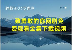 致勇敢的你网剧免费观看全集下载视频