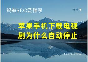 苹果手机下载电视剧为什么自动停止