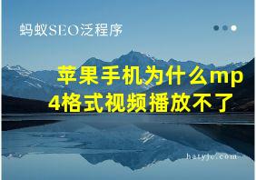 苹果手机为什么mp4格式视频播放不了