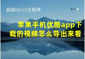 苹果手机优酷app下载的视频怎么导出来看