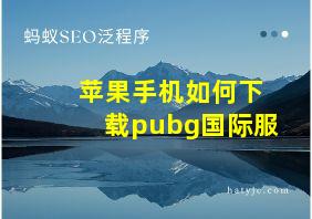 苹果手机如何下载pubg国际服