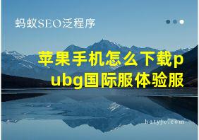 苹果手机怎么下载pubg国际服体验服