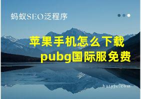 苹果手机怎么下载pubg国际服免费